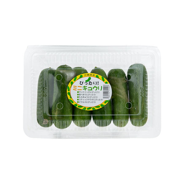 Japanese Mini Cucumber  (1pack)
