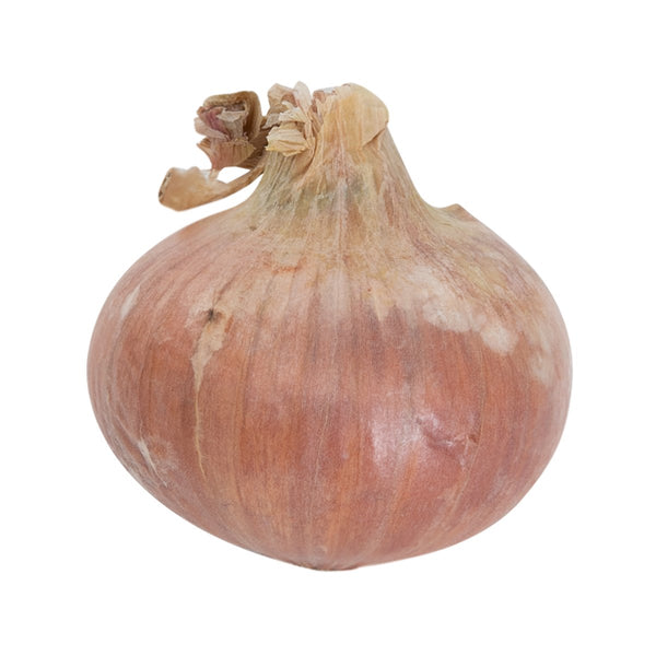 French Pink Onion  (600g)