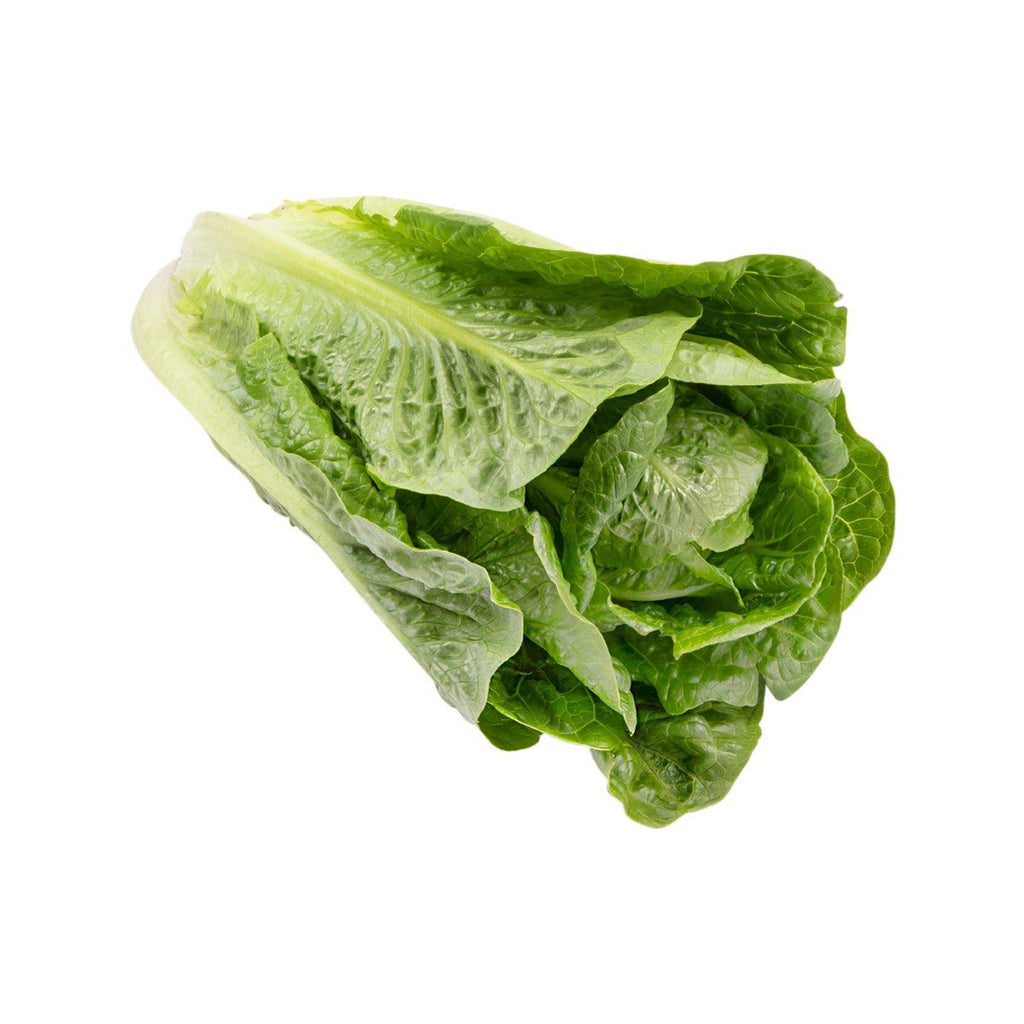 Australian Cos Lettuce  (400g)