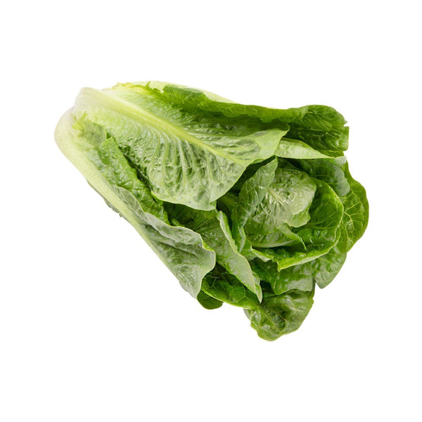 Australian Cos Lettuce  (400g)
