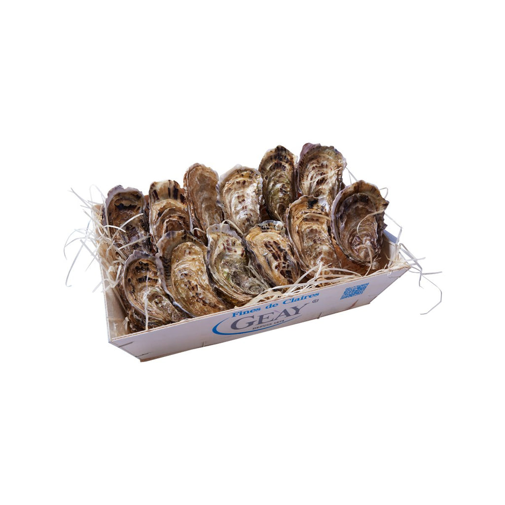 French Geay Fines de Claires Oyster Nr.2  (12pcs)