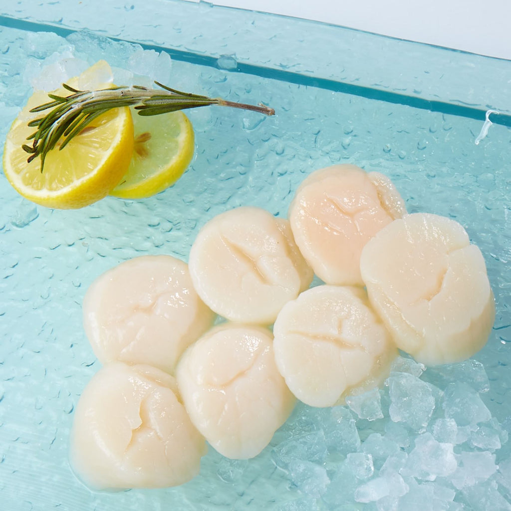Japanese Frozen Scallop U15 for Cooking  (300g)