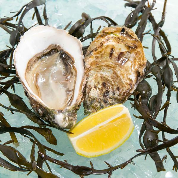 French Isigny Speciale Oyster Nr.1  (1pc)