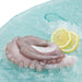QWEHLI Spanish Wild Octopus [Previously Frozen]  (300g)