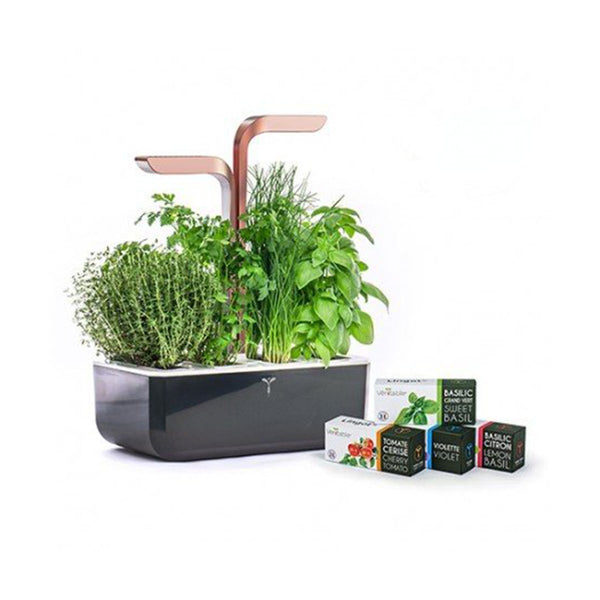 VERITABLE Smart Soft Black Indoor Garden (with 4 lingots)